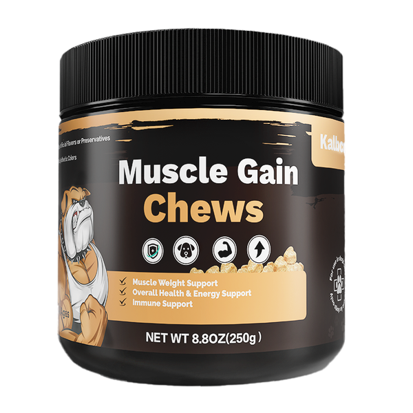 Muscle gain chews for dogs – soft chew supplement for muscle development
