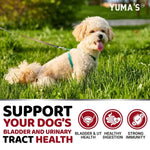 Cranberry UTI chews dosage guide for small, medium, and large dogs