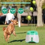 Dog fetching ball launched by automatic ball launcher outdoors