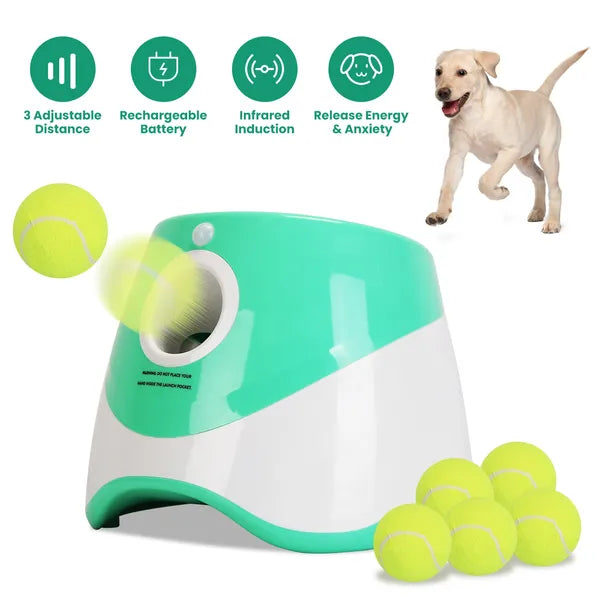 Automatic dog ball launcher in green on white background