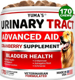Cranberry UTI support chews for dogs – bladder health supplement