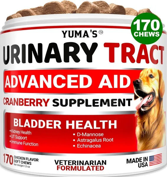 Cranberry UTI support chews for dogs – bladder health supplement