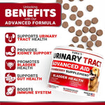 Dog cranberry UTI supplement chew bottle – 170 soft chews