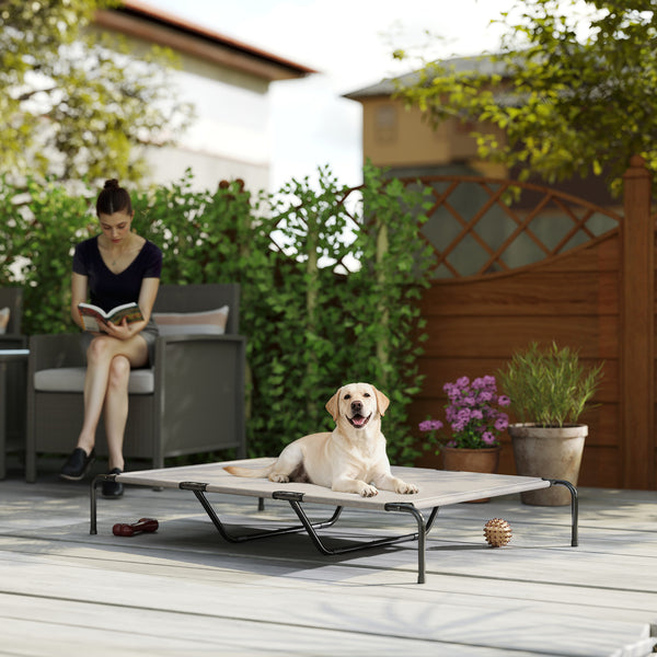 Large dog resting on elevated dog bed outdoors on patio