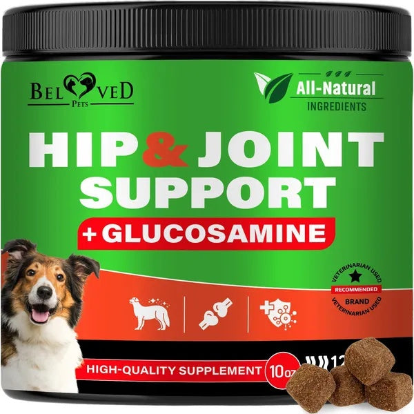 Hip and joint supplement chews for dogs on white background