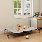 Dog sleeping comfortably on elevated raised dog bed indoors