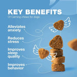 Calm relaxed dog after taking Gocalmpup hemp anxiety chews